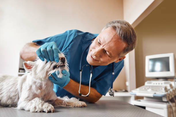 Best After-Hours Emergency Dentist in Gaffney, SC